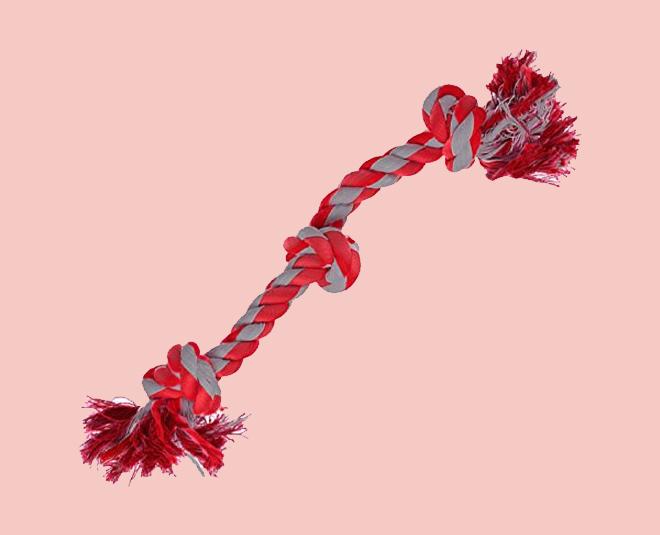 pet dog chewy rope