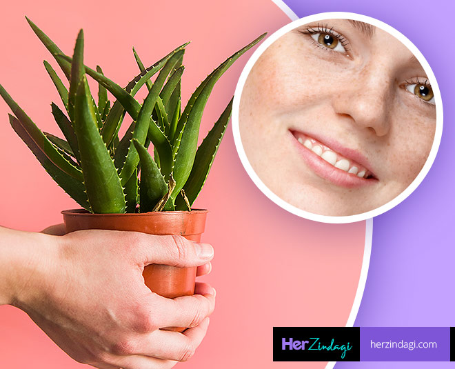 Have Skin Pigmentation Use Aloe Vera Gel Says Expert