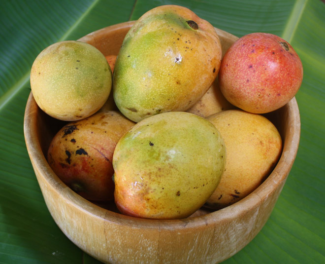 summer-special-tips-how-to-check-if-mangoes-are-sweet-and-ripe