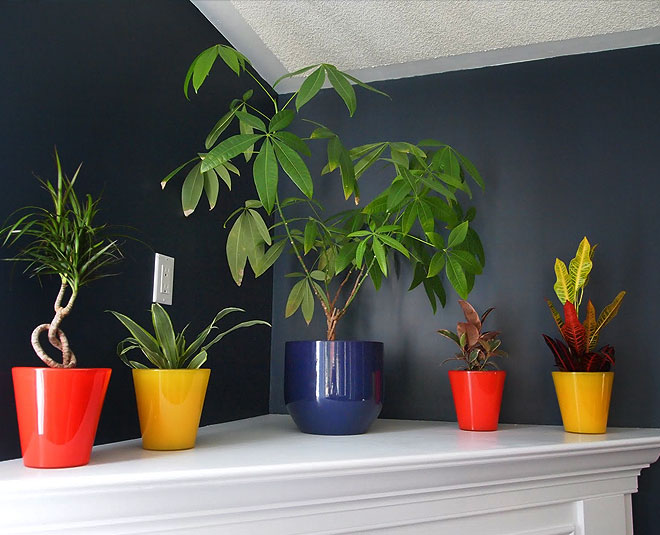 summer home interior ideas