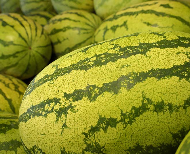 Can Check If The Watermelon Is Sweet And Ripe With These Easy Tips