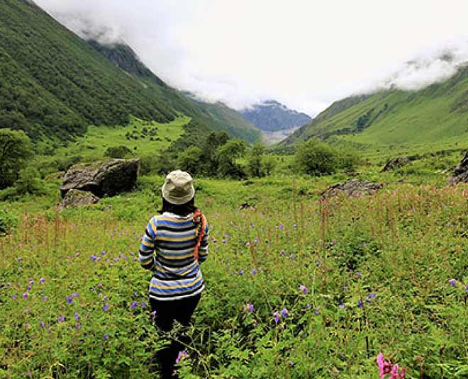 Hill Stations  Near  Indorei inside 