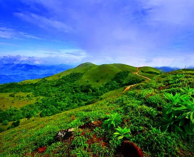 coorg destination inside 