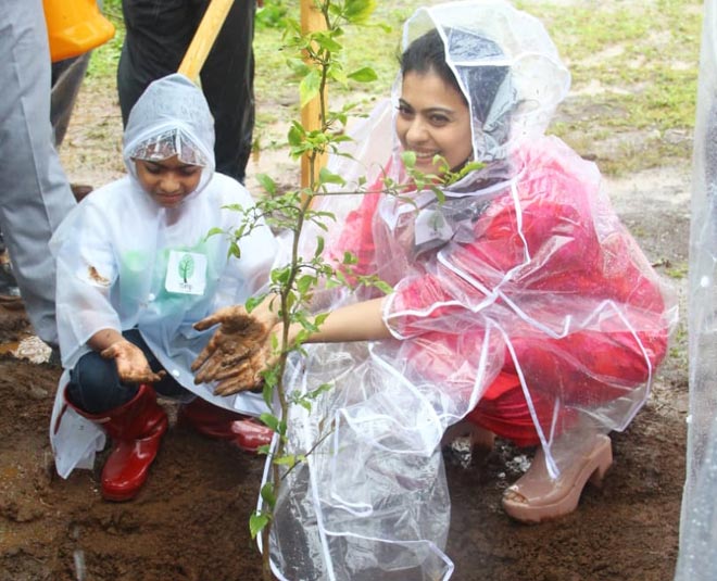 facts about bollywood actress kajol inside 