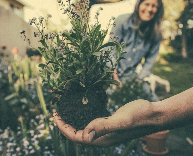 gardening benefits inside 