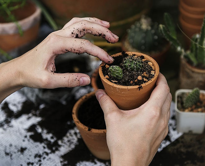 gardening for healthy heart inside 