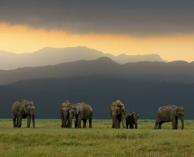 man vs wild shoot india