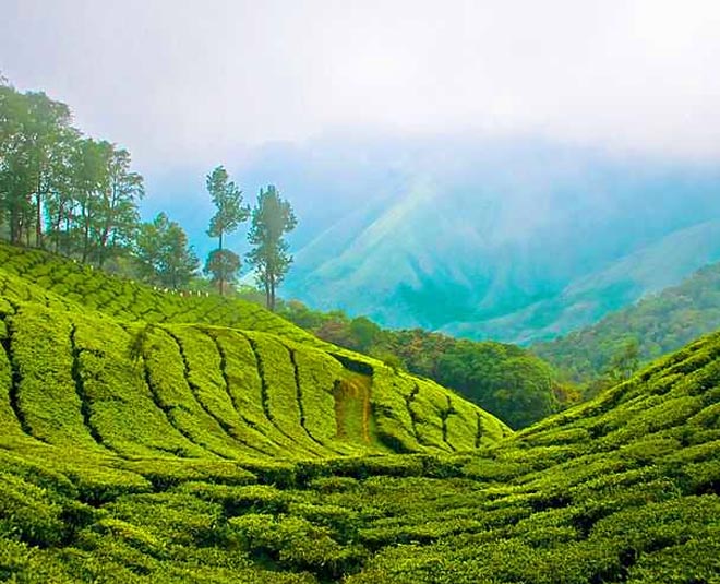 ooty travel weekend getaways bengaluru