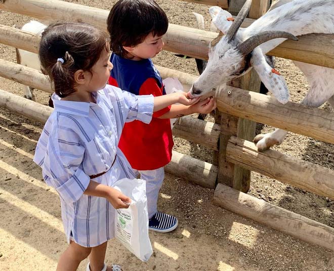 taimur ali and inaya cute pics