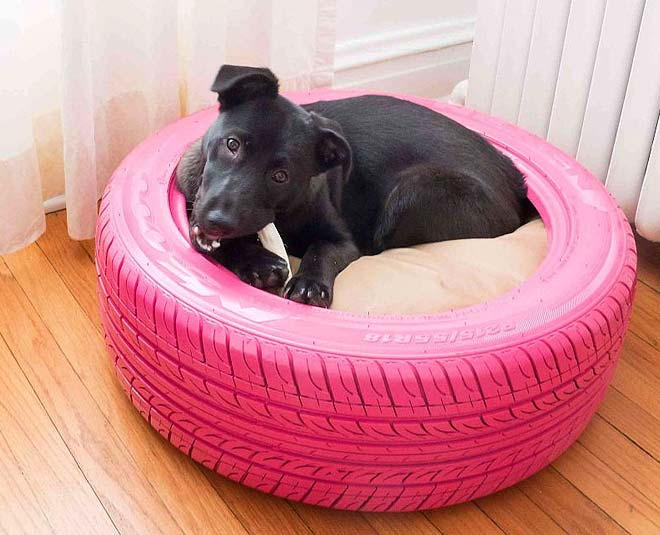 5 Easy Inexpensive Diy Dog Beds HerZindagi