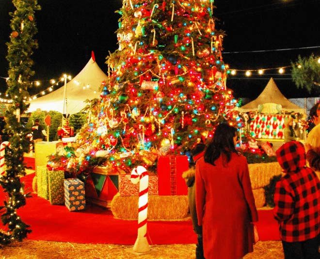 best christmas party places around delhi inside 