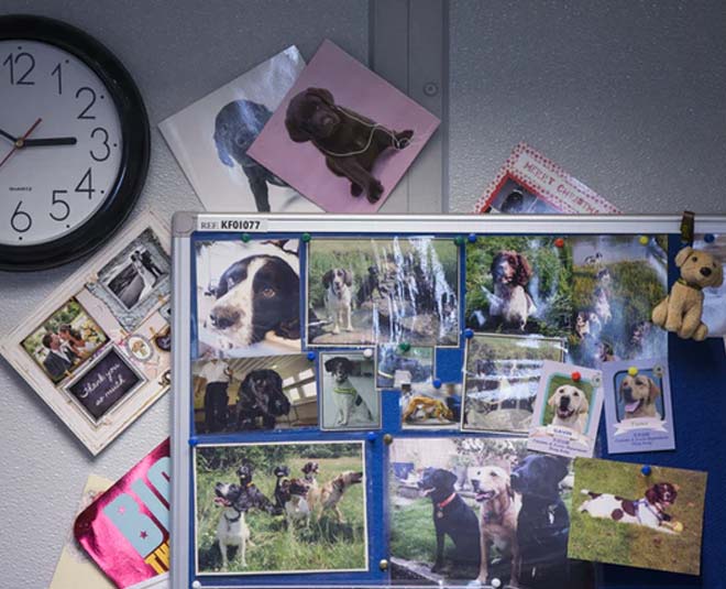 fun ways to brighten office desk ()