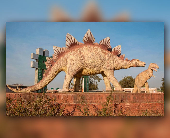 off beat travel destinations madhya pradesh fossil national park