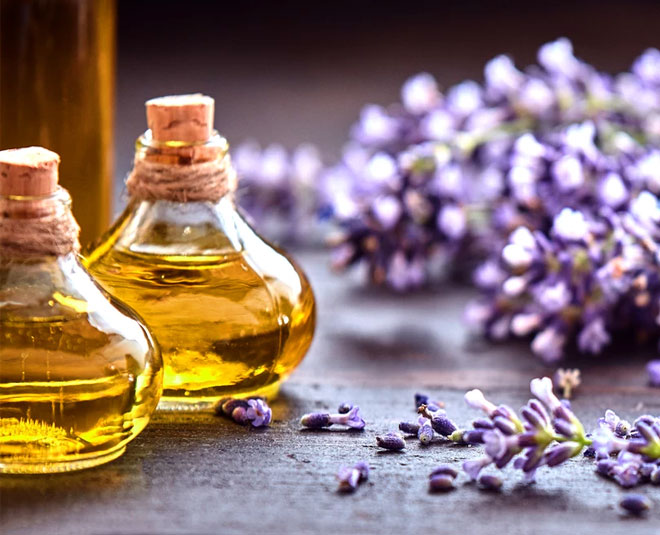 oil essential lavender