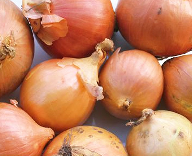 Some Interesting Facts About Onion In Hindi some interesting facts