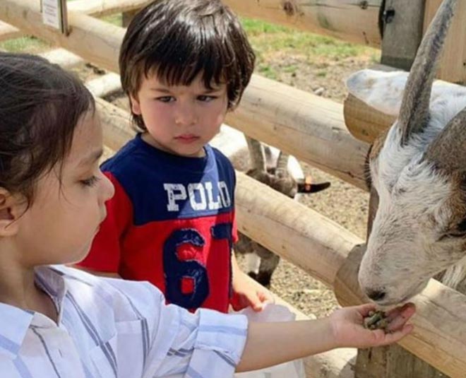 taimur ali khan adorable moments two