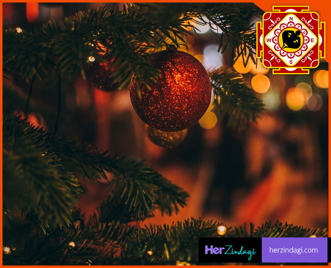 An Expert Guide On How Christmas Tree Can Help Remove Vastu Doshas