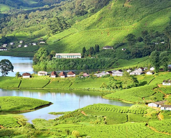 winter vacation with kids munnar