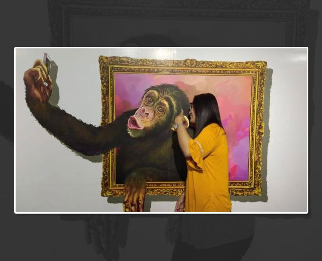 d museum art world delhi inside