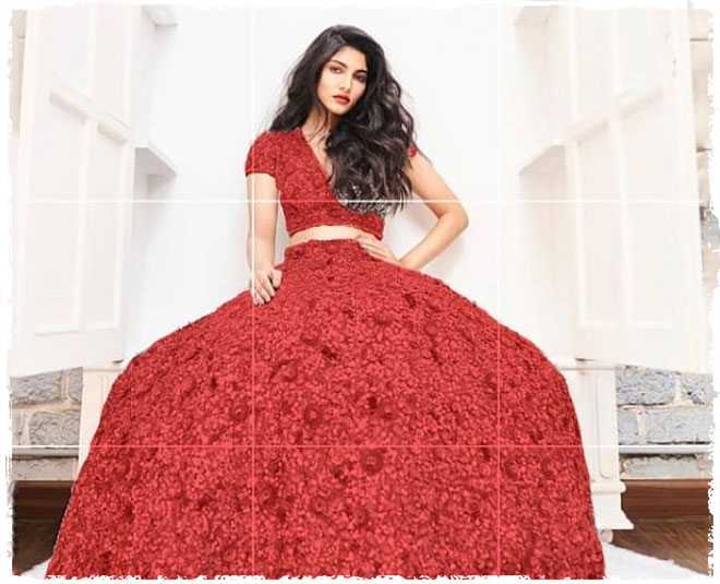 alizeh agnihotri stylish pics salman seema inside