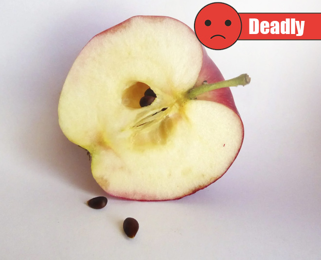 apple seeds side effects