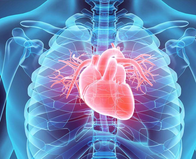 healthy heart jackfruit