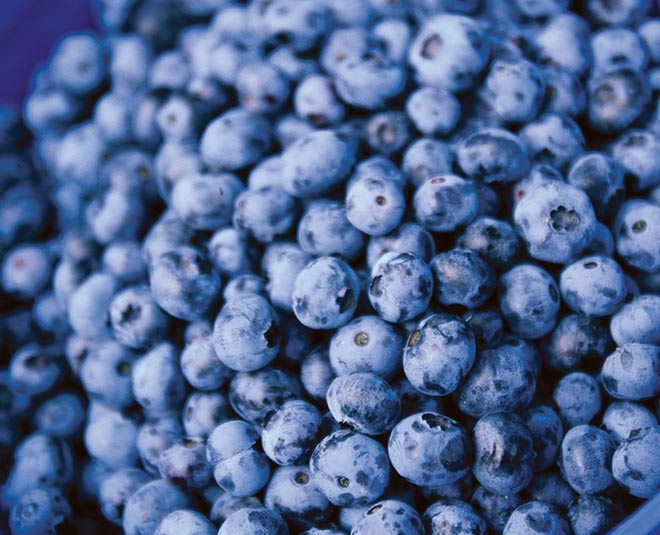 immunity booster colourful foods card ()