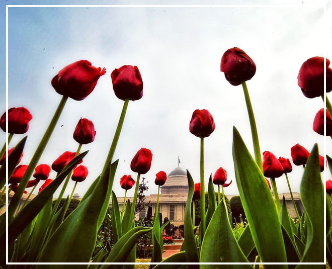 mughal garden information 