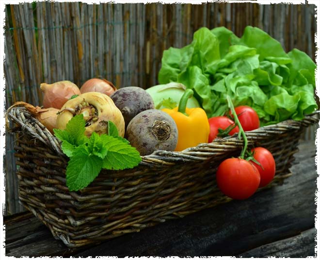 veg refrigerator inside
