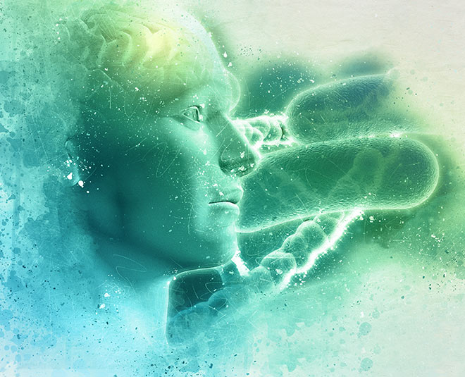  amazing health benefits of camel milk you need to know about 