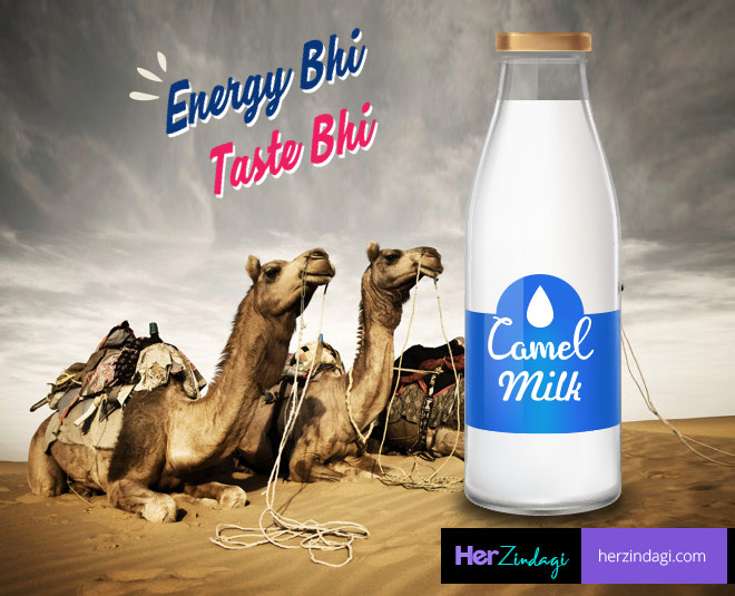 Pure верблюжье молоко Camel Milk