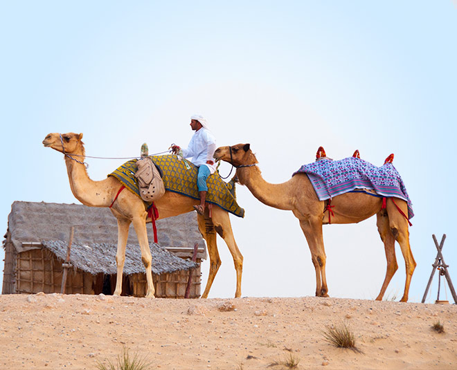 dubai winter special place trip 