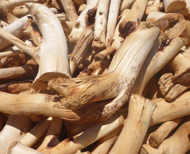 herbal facial steam for women sandalwood inside