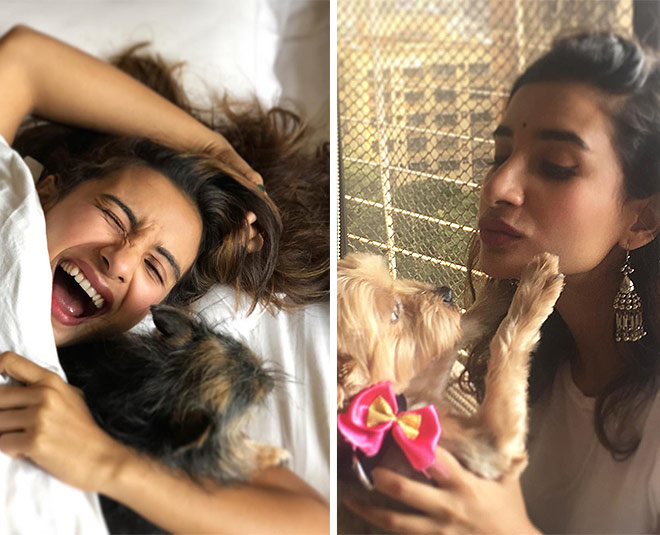 patralekha bollywood actress girlfriend rajkumar rao love animals pets inside