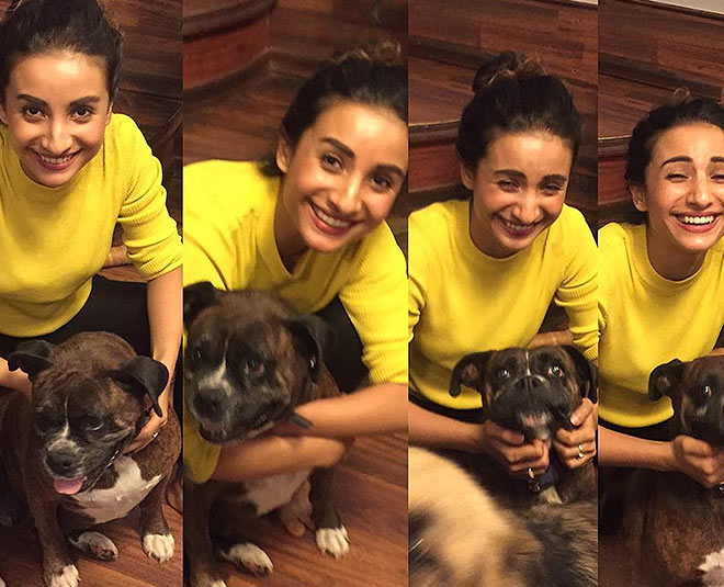 patralekha bollywood actress girlfriend rajkumar rao love animals pets inside