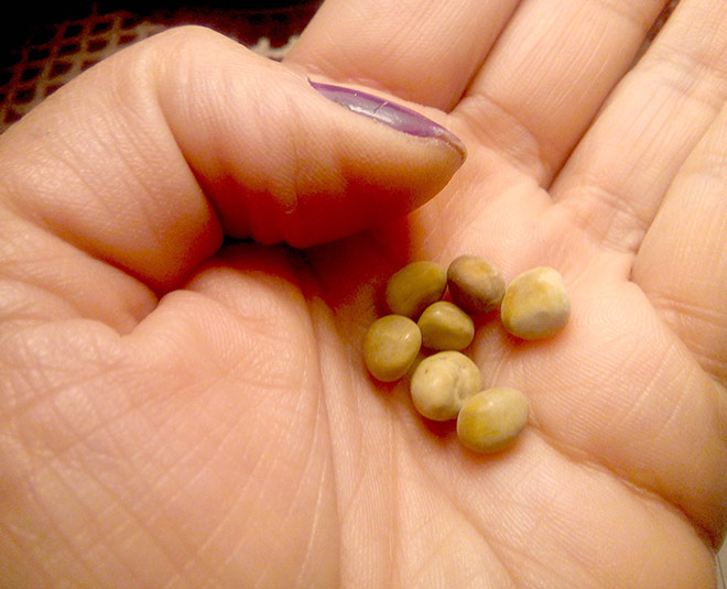 stone pain health inside