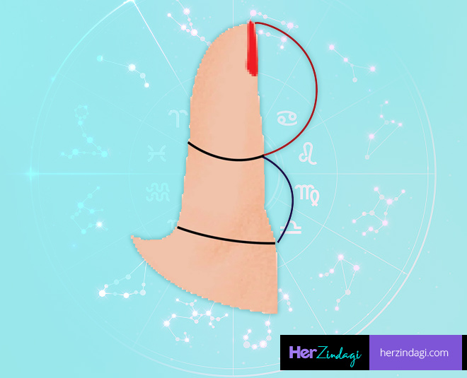 Different Shapes Of Thumb