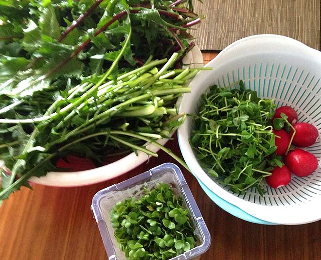 Extend The Life Of Your Vegetables, Fruits With These 6 Tips! HerZindagi