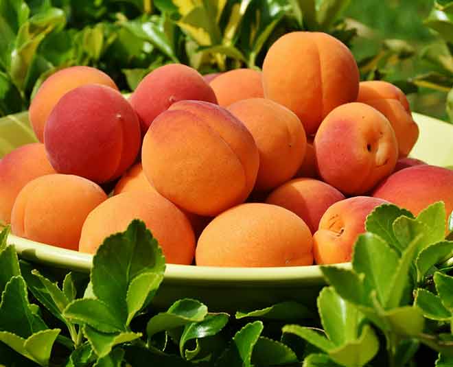 appricots vitamin c monsoon