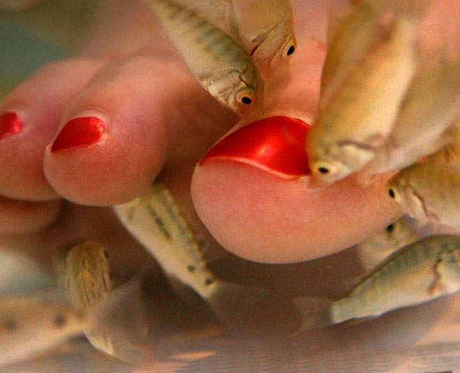 fish padicure inside 