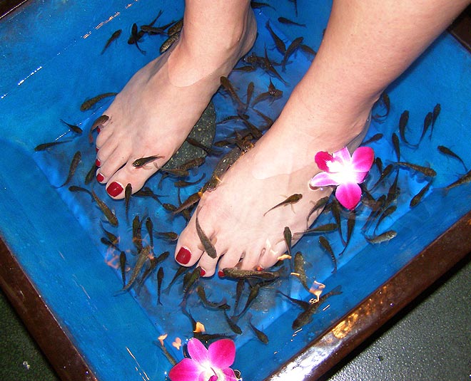 fish pedicure tips inside 