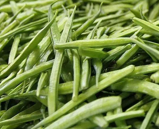 guar pod for women health inside 