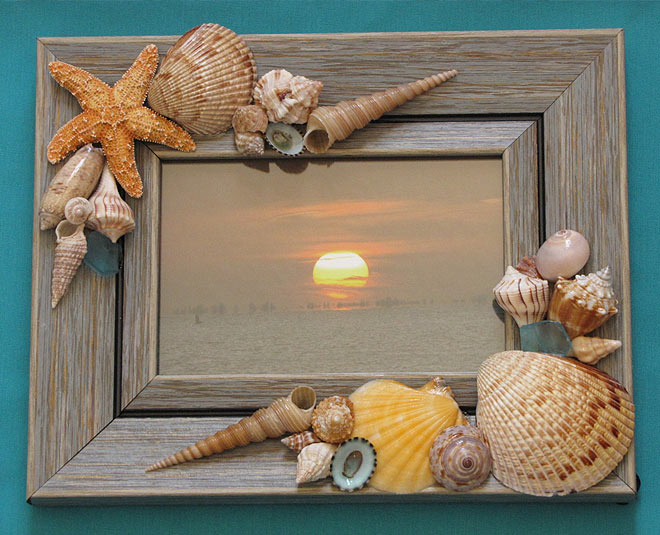 inside  seashell for home decor