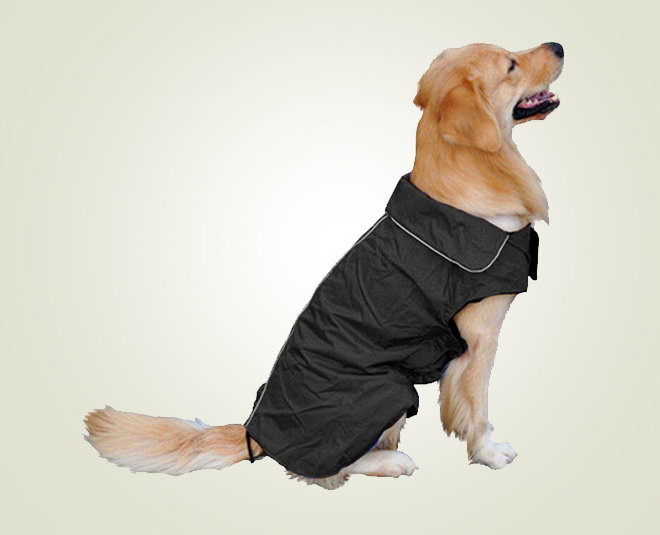 inside  washing machine mistakes to avoid