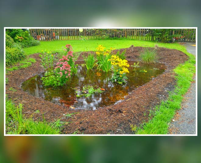 inside  rain water harvesting techniques