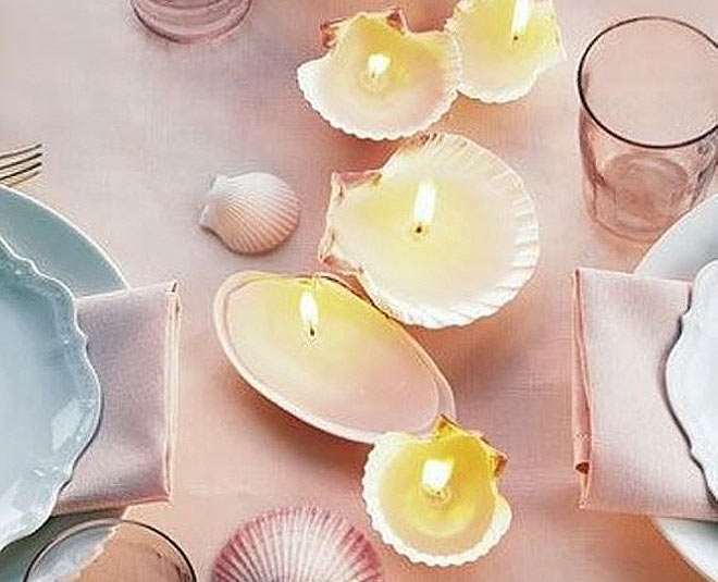 inside  seashell for home decor
