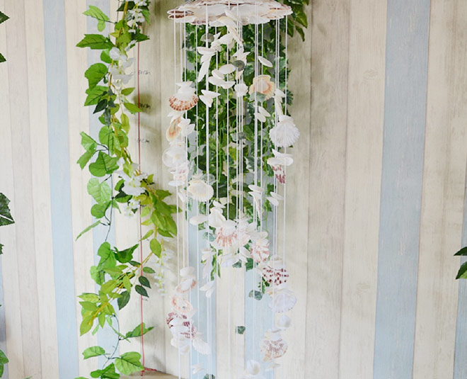 inside  seashell for home decor