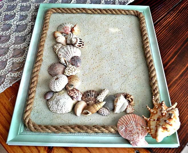 inside  seashell for home decor