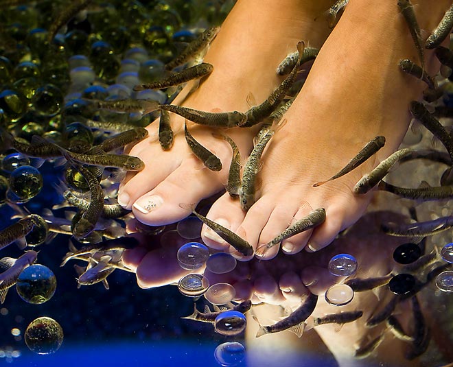 keep these things during fish pedicure inside 
