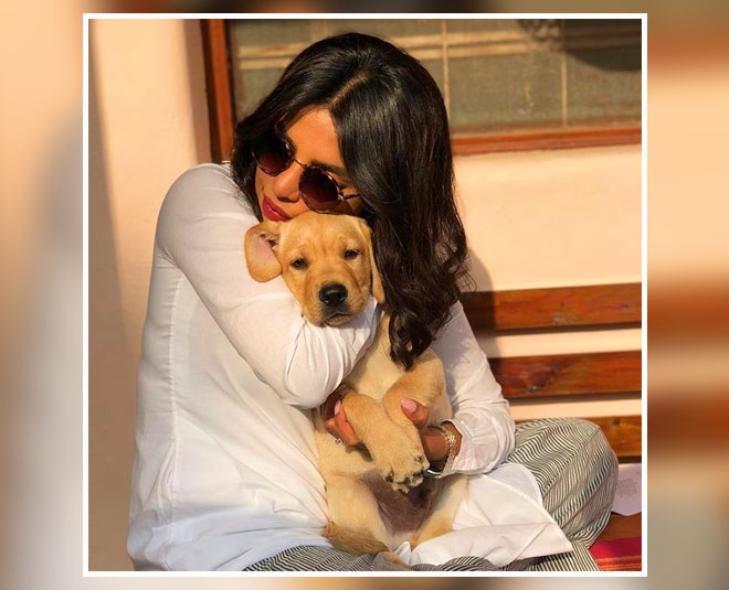 priyanka chopra dog love